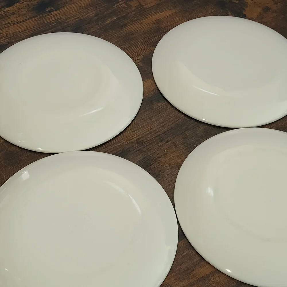 Williams Sonoma Schumacher Ikat Melamine Dinner Party Outdoor Plates Set of 4